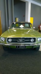 Mustang 50 ár (1)