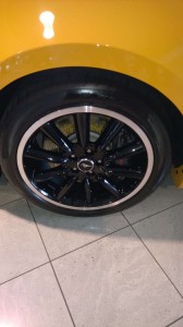 Mustang 50 ár (11)