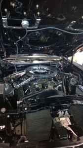 Mustang 50 ár (12)