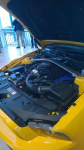 Mustang 50 ár (13)
