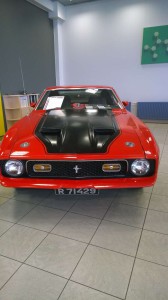 Mustang 50 ár (14)
