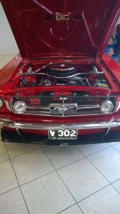 Mustang 50 ár (15)