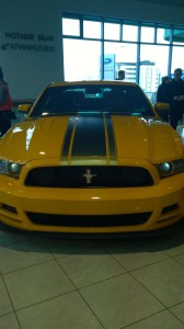 Mustang 50 ár (18)