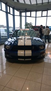 Mustang 50 ár (6)