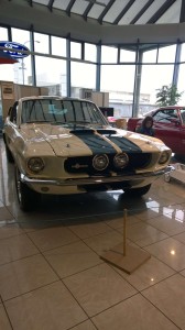 Mustang 50 ár (9)