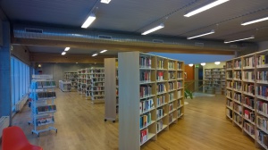 Bókasafnið (7)
