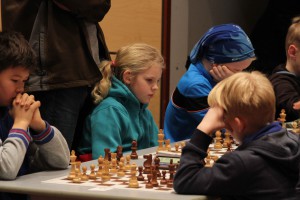 IMG_9229_vefur