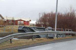 IMG_0513_vefur