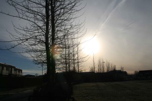 IMG_6277_vefur