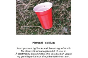 Græn tunna