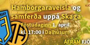 Skagaleikur
