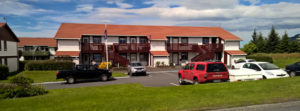 Áfram Ísland 008